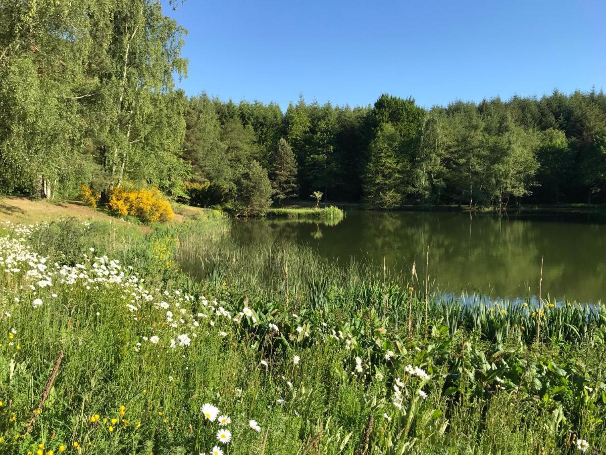 Morvan La Pastourelle Quarré-les-Tombes المظهر الخارجي الصورة