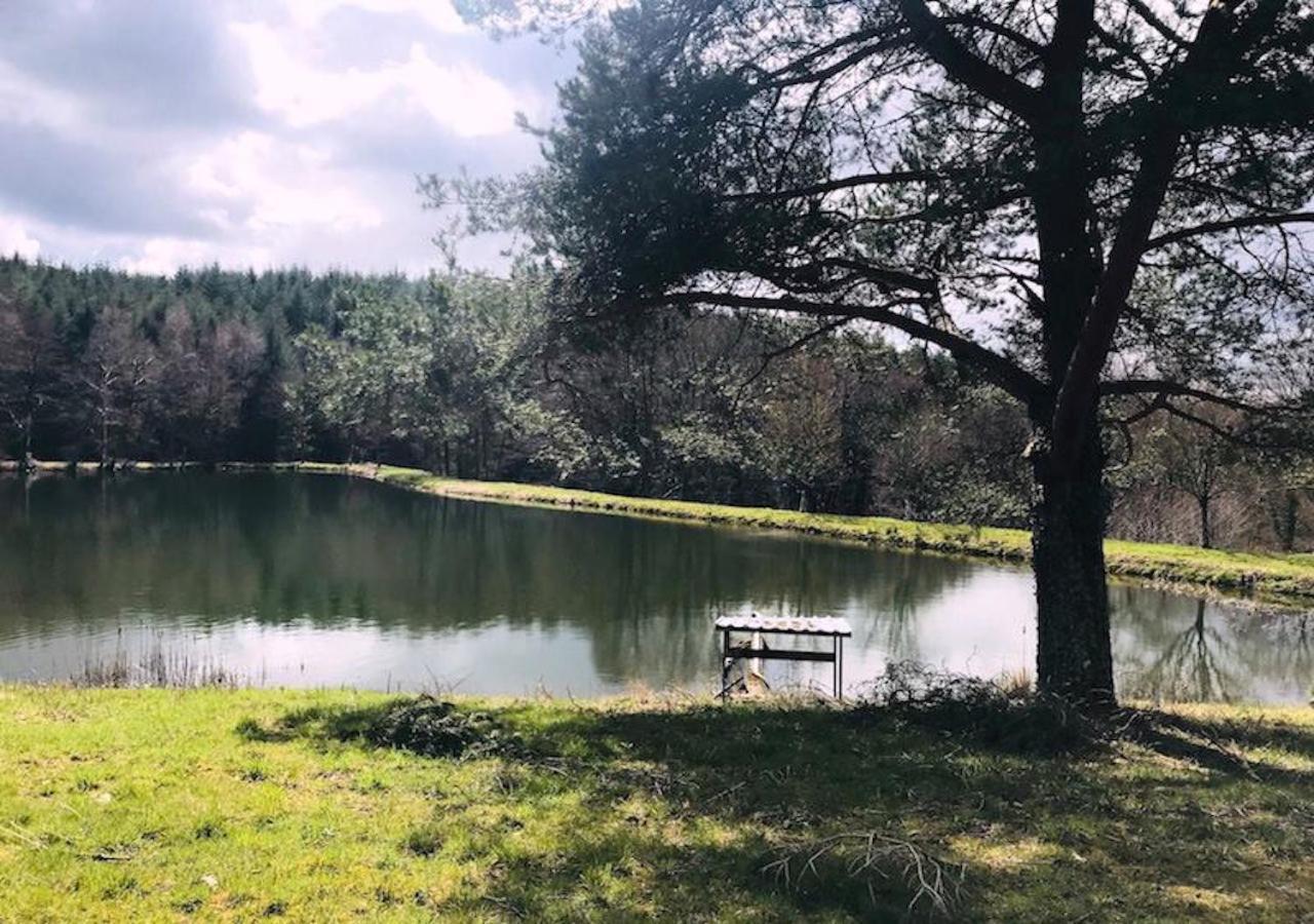 Morvan La Pastourelle Quarré-les-Tombes المظهر الخارجي الصورة