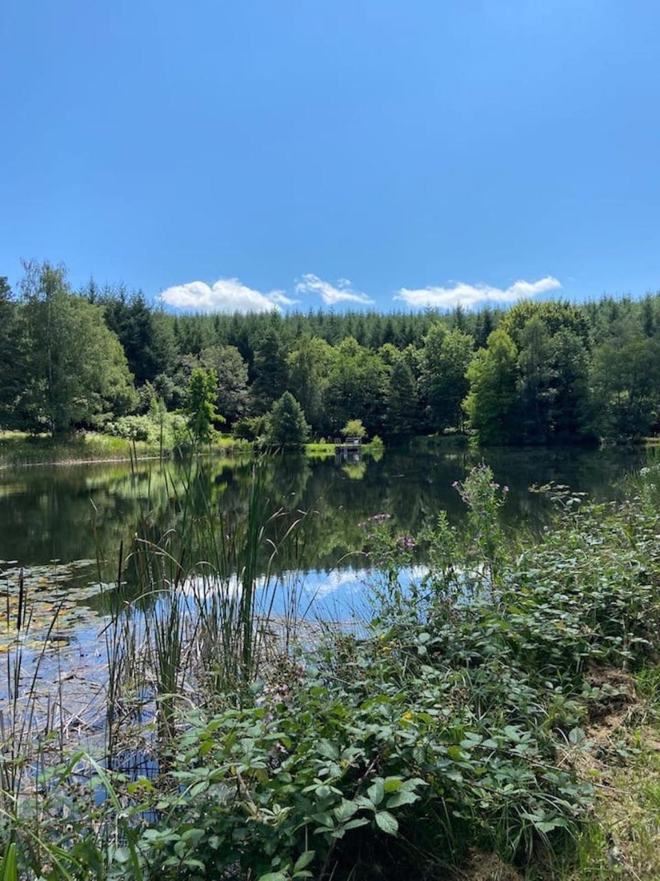 Morvan La Pastourelle Quarré-les-Tombes المظهر الخارجي الصورة